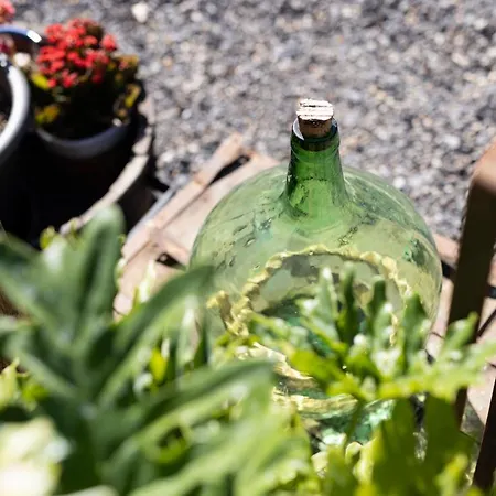 Latas Del Almendro 1 度假居 *