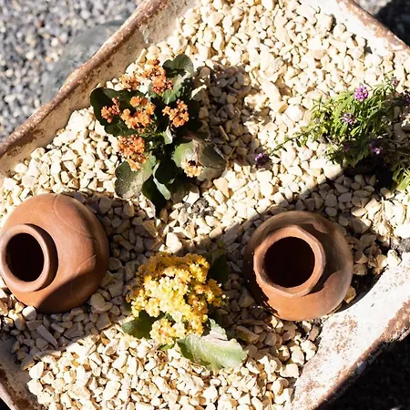 Дом отдыха Latas Del Almendro 1